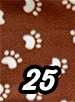25. Cream on Brown Paws - Click to view larger