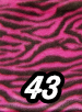 43. Pink Zebra - Click to view larger